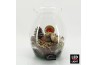 Arrangementen hippeastrum HICR-2506RLED Kerst Amaryllis terrarium 1 pp