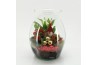 Arrangementen kerst XMAS-25229 Kerst creatie terrarium 3 pp