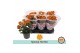 Chrysanthemum ind. hoihoi Chrysant Special HoiHoi3 pp 