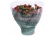 Kalanchoe rosalina don justino rood 