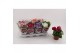 Primula sweet kisses amore mix Primula Obconica Mix 13cm2 tak/plnt 1 p 