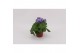 Primula sweet kisses amore dark blue Primula Obconica Dark Blue 13cm1  