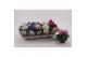 Primula sweet kisses amore mix Primula Obconica Mix met hoes1 tak/plnt 