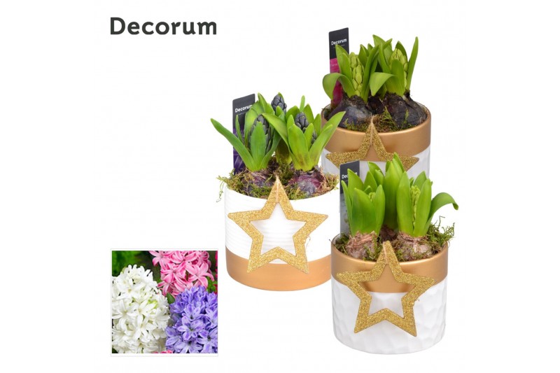 Arrangementen hyacinthus Hyacint Wit Goud Keramiek HL13222 [SHINY & SP 