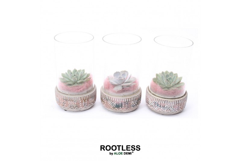 Arrangementen succulenten ROOTLESS Echeveria mix, Deer pot and glass p 