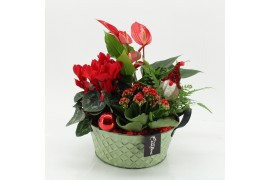 Arrangementen kerst XMASXL-2527 Kerst XL 4 pp