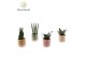 Kamerplanten mix Sansevieria mix in pot Elsa 1 pp 