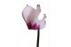 Cyclamen pers. metis victoria Cyclamen Premium Victoria Wit Roze 20 cm 