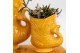 Rhipsalis mix Kolibri Greens Rhipsalis mix in Fish pot yellow mix1 pp 