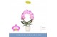 Phalaenopsis roze Mirror Miracle Kiara 2 spike in Lazio White 15 bl. 2 