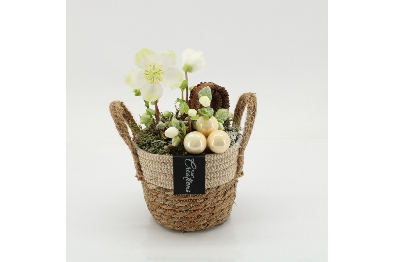 Arrangementen helleborus NHCR-2508 Verboom Helleborus 1 pp 