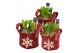 Arrangementen hyacinthus Hyacint Velvet HL13922 [PURE] 3 pp 75 bl. 3 p 
