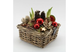 Arrangementen hippeastrum HICR-2526R Kerst Amaryllis 2 pp