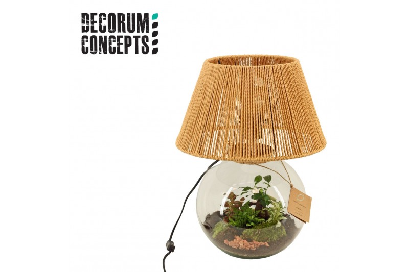 Arrangementen kamerplanten Terrarium Moon light (Decorum concepts) 4 p 