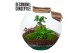 Arrangementen kamerplanten Terrarium Moon medium (Decorum concepts) 4  