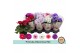 Primula obconica touch me mix Primula Obconica Mix3 tak/plnt 