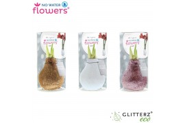 Hippeastrum gewaxt No Water Flowers Glitterz® Charm mix in Koker2 tak/