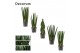 Sansevieria cylindrica Mix 14cm Decorum 