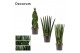 Sansevieria cylindrica Mix 14cm Decorum 