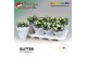 Kalanchoe skydive Kalanchoe Moments - White with glitter - kerst 1 pp  