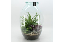 Arrangementen kamerplanten GRCR-2613 Green Essentials terrarium 3 pp