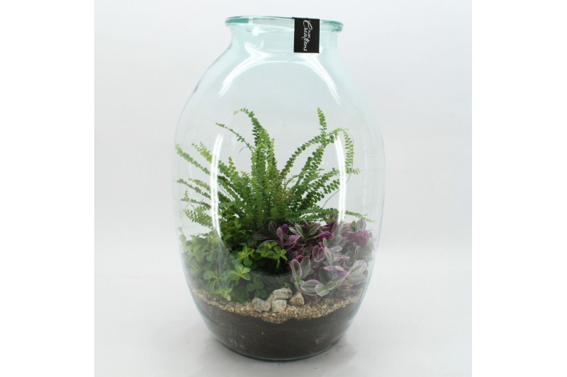 Arrangementen kamerplanten GRCR-2613 Green Essentials terrarium 3 pp 
