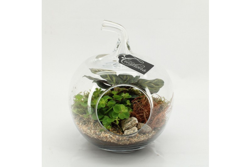 Arrangementen kamerplanten GRCR-2605 Green Essentials terrarium 2 pp 