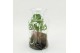 Arrangementen kamerplanten GRCR-2604 Green Essentials terrarium 1 pp 