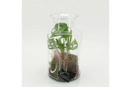 Arrangementen kamerplanten GRCR-2604 Green Essentials terrarium 1 pp