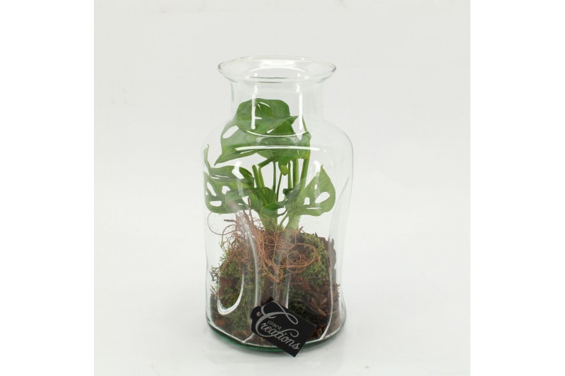 Arrangementen kamerplanten GRCR-2604 Green Essentials terrarium 1 pp 