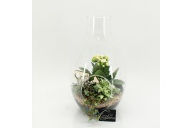 Arrangementen kamerplanten FDCR-2605W Basic Fundamentals terrarium 3 p