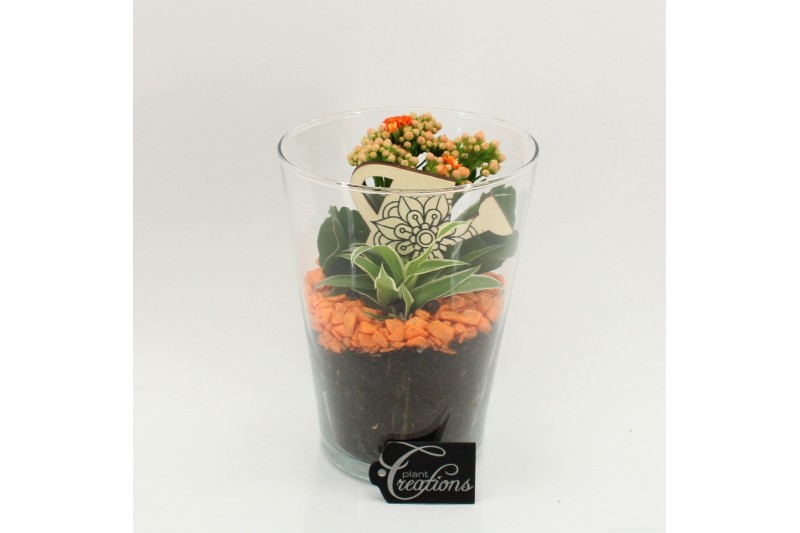 Arrangementen kamerplanten FDCR-2604OR Basic Fundamentals 2 pp 