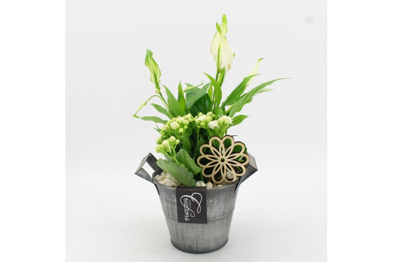 Arrangementen kamerplanten FDCR-2613W Basic Fundamentals 2 pp 