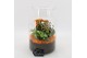 Arrangementen kamerplanten FDCR-2606OR Basic Fundamentals terrarium 2  