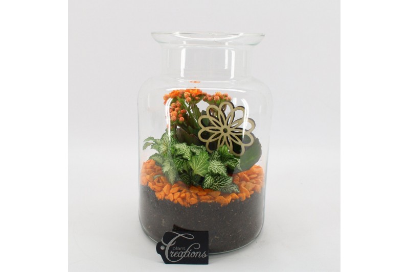 Arrangementen kamerplanten FDCR-2606OR Basic Fundamentals terrarium 2  