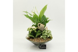 Arrangementen kamerplanten FDCR-2602W Basic Fundamentals 3 pp