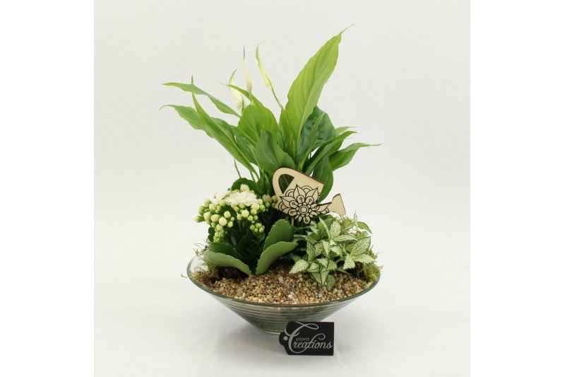 Arrangementen kamerplanten FDCR-2602W Basic Fundamentals 3 pp 