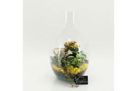 Arrangementen kamerplanten FDCR-2605G Basic Fundamentals terrarium 3 p
