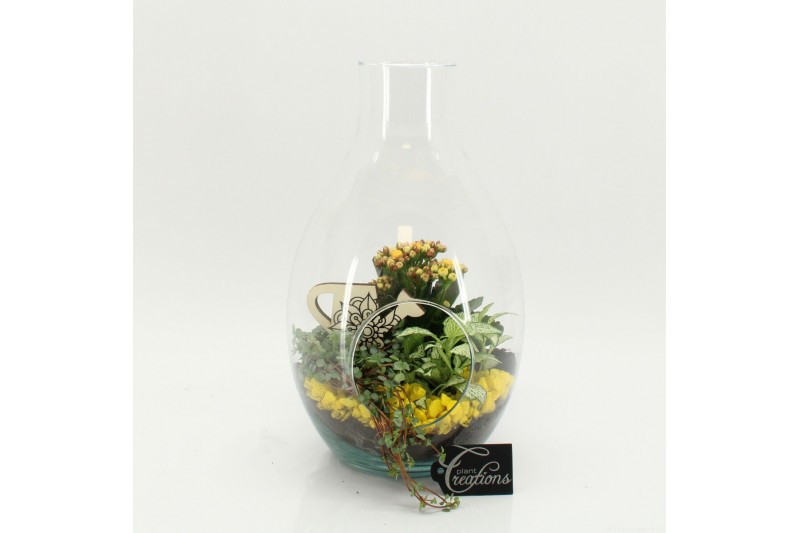 Arrangementen kamerplanten FDCR-2605G Basic Fundamentals terrarium 3 p 