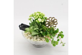 Arrangementen kamerplanten FDCR-2601W Basic Fundamentals 3 pp