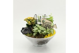 Arrangementen kamerplanten FDCR-2603G Basic Fundamentals 3 pp