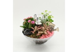 Arrangementen kamerplanten FDCR-2603RZ Basic Fundamentals 3 pp