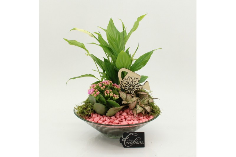 Arrangementen kamerplanten FDCR-2602RZ Basic Fundamentals 3 pp 