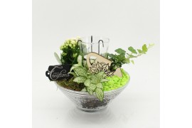 Arrangementen kamerplanten FDCR-2603GR Basic Fundamentals 3 pp