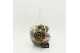 Arrangementen kamerplanten FDCR-2605RZ Basic Fundamentals terrarium 3  