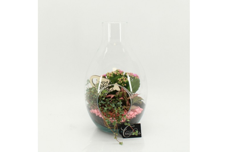 Arrangementen kamerplanten FDCR-2605RZ Basic Fundamentals terrarium 3  