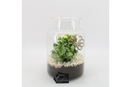 Arrangementen kamerplanten FDCR-2606W Basic Fundamentals terrarium 2 p