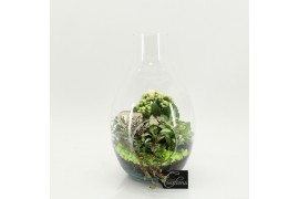 Arrangementen kamerplanten FDCR-2605GR Basic Fundamentals terrarium 3 