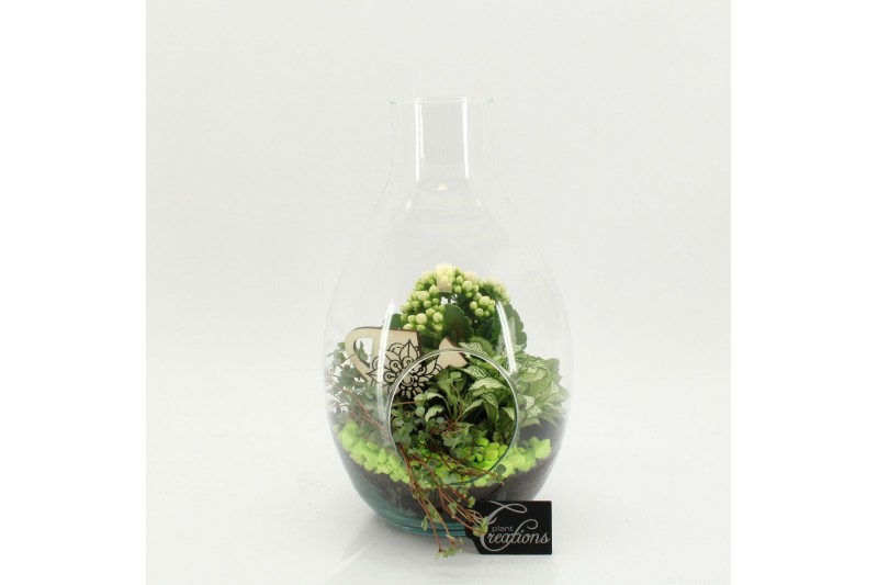 Arrangementen kamerplanten FDCR-2605GR Basic Fundamentals terrarium 3  