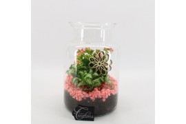 Arrangementen kamerplanten FDCR-2606RZ Basic Fundamentals terrarium 2 